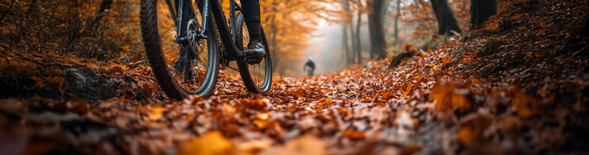 Guill van de Ven Fietsspecialist BV