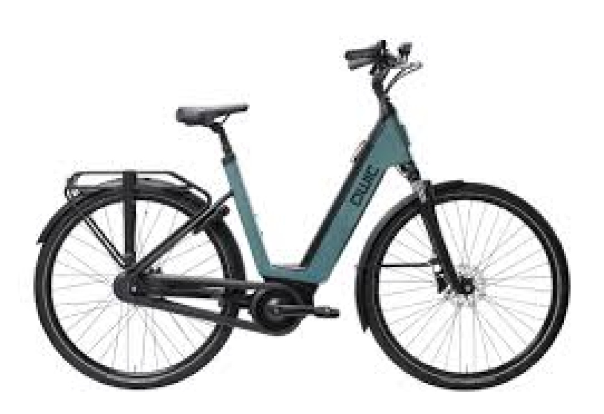 QWIC Mira Daily Lageinstap Sage Green 54cm L 2024